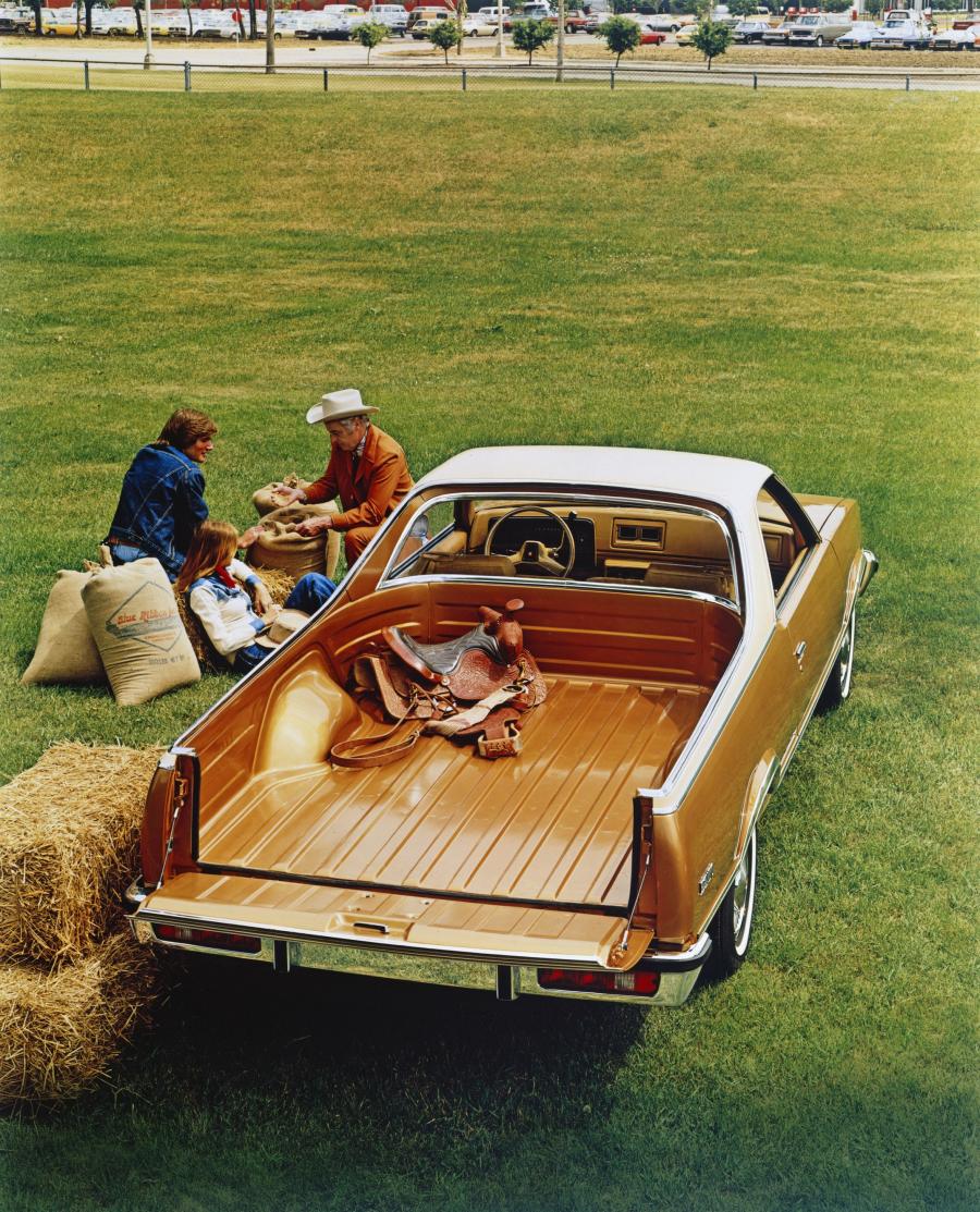 Багажник Chevrolet El Camino 1978 года  (фото 6 из 9)
